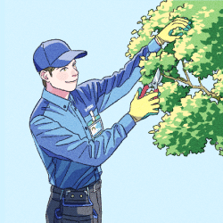 トータルグリーン